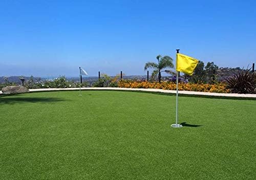 Petgrow Pro Putting Green Golf Artificial Grass Turf 3FTX19FT， Indoor Outdoor Golf Training Mat, Synthetic Fake Grass for Baseball Football Gym Sports