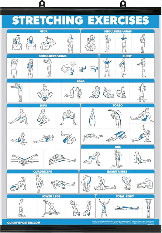 Palace Learning QUICKFIT Stretching Workout Exercise Poster - Stretch Routine (Laminated with Plastic Frame, 18" x 24")